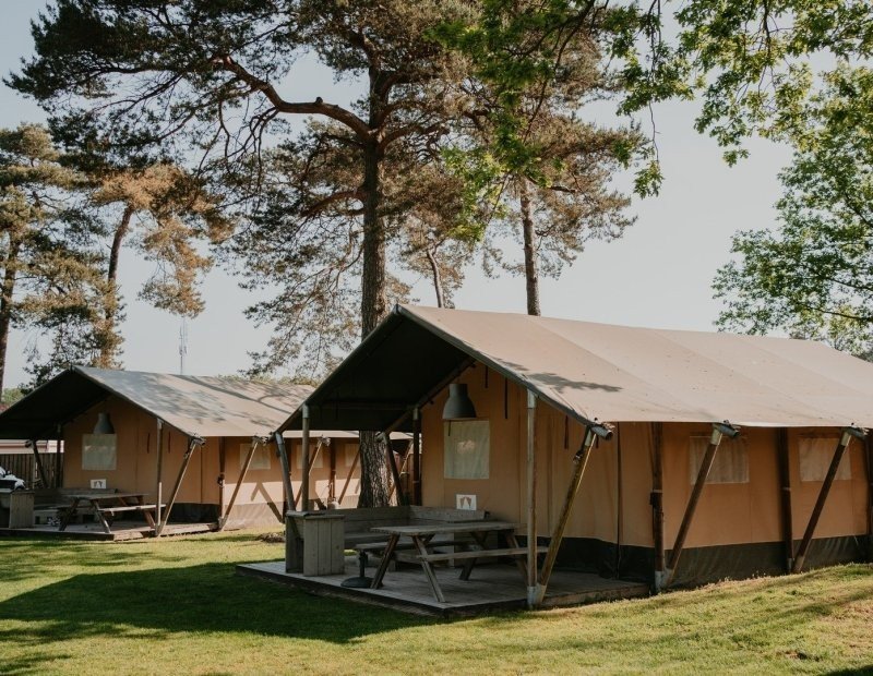 Luxe safaritenten poppe markelo