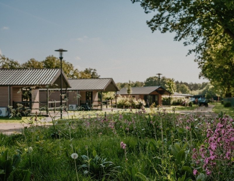 Chalet ’t Groenland (nr. 13)