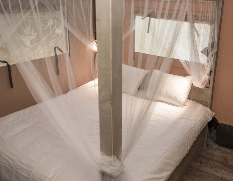 Safaritent boeken markelo